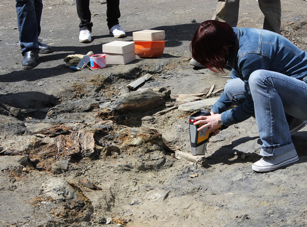 Archäologische Funde aus der Grabungskampagne im Alten Lager werden analysiert